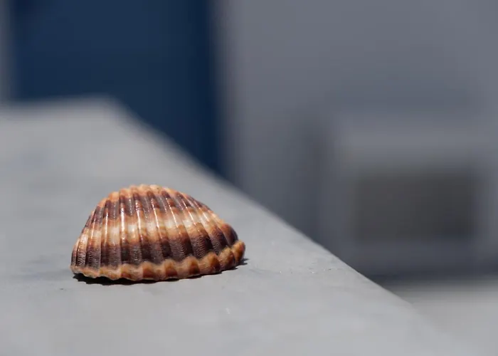 Villa Labyrinth Traditional